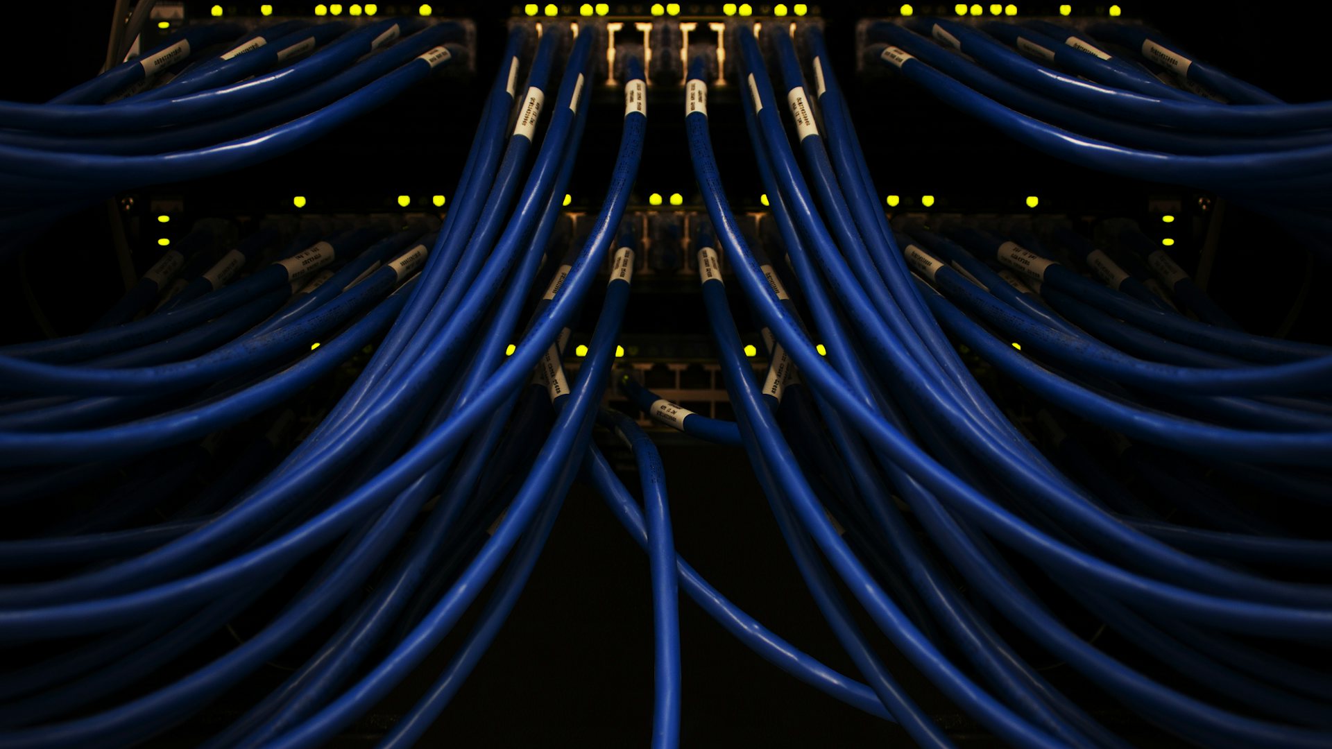 Blue network cables connected to server equipment